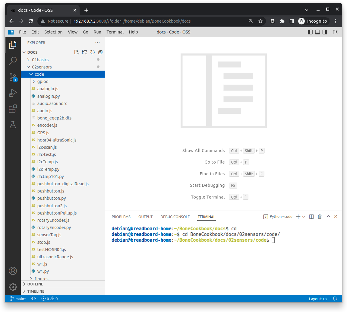 Entering commands in the VSC bash tab